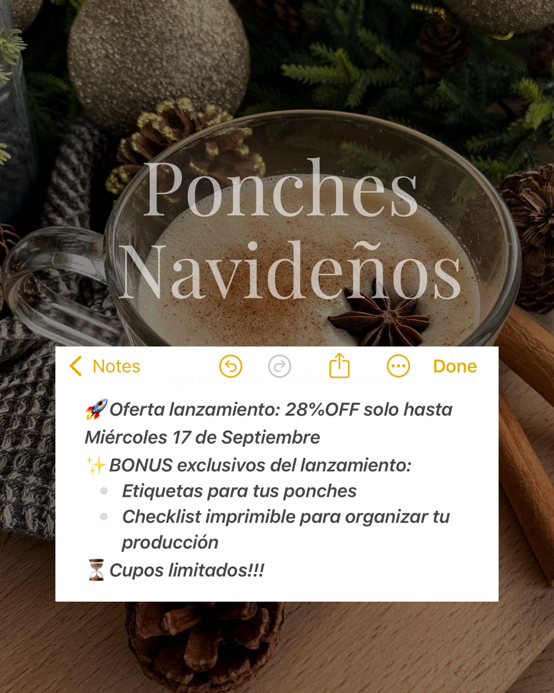 Taller Ponches Navideños - Online